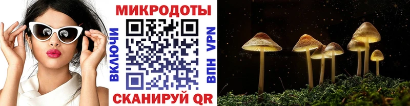 Псилоцибиновые грибы мухоморы  где купить наркоту  Чусовой 
